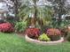 Well-maintained landscaping with colorful flower bushes surrounding a palm tree at 6608 Borg, Leesburg, FL 34748