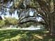 Enjoy tennis in the community on this court shaded by large trees with Spanish moss at 6608 Borg, Leesburg, FL 34748