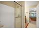 Bright bathroom features a glass-enclosed shower and access to the adjacent main bedroom at 830 Grand Vista Trl, Leesburg, FL 34748