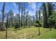 A beautiful homesite ready for your dream home amongst the trees and a lush, green landscape at 830 Grand Vista Trl, Leesburg, FL 34748