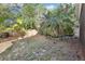 Beautifully landscaped backyard featuring tropical plants and a wood perimeter fence at 981 Piedmont Oaks Dr, Apopka, FL 32703