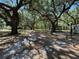 Expansive backyard showcasing mature trees and fencing, creating a private outdoor oasis at 1650 Sundance Dr, St Cloud, FL 34771