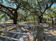 Large backyard featuring mature trees and partial fencing, offering a blend of open space and privacy at 1650 Sundance Dr, St Cloud, FL 34771