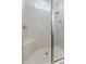 Walk-in shower with sleek tile and a built-in niche offers a modern and convenient bathing experience at 2129 Palm Tree Dr, Poinciana, FL 34759