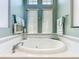 Inviting bathroom showcasing a large soaking tub with decorative tile surround at 27027 Old English Ct, Leesburg, FL 34748