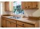 Efficient kitchen featuring double sinks, wood cabinetry, and durable laminate countertops at 30011 County Road 437, Sorrento, FL 32776