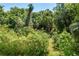 Backyard featuring lush greenery and dense trees provides a secluded setting in a natural environment at 306 N Clayton St, Mount Dora, FL 32757