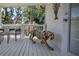 Covered porch features an artful tiger statue and screened views of the outdoors at 306 N Clayton St, Mount Dora, FL 32757