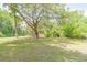 Expansive front yard featuring mature trees and lush green grass at 3075 Cr 431N, Lake Panasoffkee, FL 33538