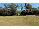A sprawling, grassy backyard, perfect for outdoor activities and relaxation amid lush greenery at 31728 Nutmeg Ave, Eustis, FL 32736