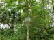 A helpful 'No Parking' sign to preserve the integrity of the natural landscaping in the R.T.P.O.A. turnaround at 31728 Nutmeg Ave, Eustis, FL 32736