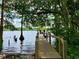 Wooden dock extending into the lake, framed by trees and lush greenery, with two people standing at the end at 31728 Nutmeg Ave, Eustis, FL 32736