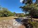 A wooden shelter stands in the middle of a grassy yard, blending with the surrounding trees at 31728 Nutmeg Ave, Eustis, FL 32736