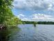 Scenic view of the lake with cypress trees surrounded by water under a sunny, cloudy sky at 31728 Nutmeg Ave, Eustis, FL 32736