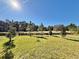 Spacious backyard with lush green grass and various trees at 34004 Sky Blossom Cir, Leesburg, FL 34788