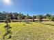 A large backyard features a neatly manicured lawn with vibrant green grass and perimeter landscaping at 34004 Sky Blossom Cir, Leesburg, FL 34788