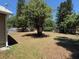 Green backyard with mature trees, perfect for enjoying the outdoors and creating a serene environment at 677 Warner St, Groveland, FL 34736