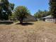Wide backyard with mature trees, perfect for enjoying the outdoors and creating a serene environment at 677 Warner St, Groveland, FL 34736
