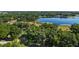 Enjoy this home's stunning lakeside views from above, surrounded by lush greenery and tall trees at 848 Hawk Lndg, Fruitland Park, FL 34731