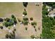 Aerial view of property featuring large open grassy area, scattered trees and outbuildings at 19726 Mccall Rd, Altoona, FL 32702
