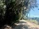A dirt road through a pastoral landscape with trees and a fenced field at 19726 Mccall Rd, Altoona, FL 32702