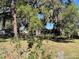 Lush greenery surrounds this outdoor space, showcasing a variety of trees and plants at 19726 Mccall Rd, Altoona, FL 32702