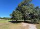 Scenic front yard with mature trees and open pasture offering a peaceful, rural setting at 19726 Mccall Rd, Altoona, FL 32702