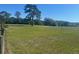 Expansive green pasture with mature trees creating a serene and picturesque landscape at 19726 Mccall Rd, Altoona, FL 32702