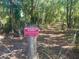 A tree covered trail is marked with a 