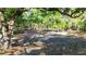 View of a backyard with trees and chain-link fence at 2420 Sr 471, Sumterville, FL 33585