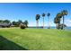 The spacious yard features beautiful green grass, tall palm trees, and a relaxing view of the lake at 301 Waterwood Dr, Yalaha, FL 34797