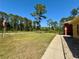 Expansive front yard featuring lush green grass, mature trees, and a long, inviting walkway to the home at 30554 Quince Ave, Eustis, FL 32736