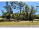 Trees along the property line at 30554 Quince Ave, Eustis, FL 32736
