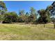 Beautiful grassy backyard surrounded by trees at 30554 Quince Ave, Eustis, FL 32736