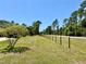 Expansive grassy yard with mature trees and a fence line at 30554 Quince Ave, Eustis, FL 32736