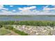 Breathtaking aerial view showcasing a residential community bordering a tranquil lake and lush green landscape at 31799 Broadwater Ave, Leesburg, FL 34748