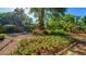 Backyard landscaped with aloe plants, mature trees, and a lounge chair visible in the distance at 333 Stanley Bell Dr, Mount Dora, FL 32757