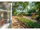 View of backyard featuring a mulched groundcover, trees, and tropical plants at 333 Stanley Bell Dr, Mount Dora, FL 32757