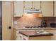 Efficient kitchen with cooking area with adjacent countertops and access to the dining area at 333 Stanley Bell Dr, Mount Dora, FL 32757