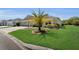 Beautiful front yard featuring manicured lawn, professionaly designed landscaping, and mature palm tree at 5220 Horsford Path, The Villages, FL 32163