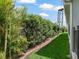 Well-maintained backyard with manicured lawn, tropical landscaping, and privacy hedges at 575 Wheelock St, The Villages, FL 32163