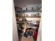 Walk-in closet with shelves and storage bins at 6846 Wilson Hammock Ave, Groveland, FL 34736
