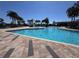 Enjoy the community pool with a splash pad and beautiful surrounding palm trees at 6846 Wilson Hammock Ave, Groveland, FL 34736