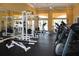 A view of community gym with modern machines and mirrored wall at 10282 Julia Isles Ave, Oxford, FL 34484