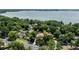Aerial view of a home with a tile roof nestled among mature trees near a scenic lake at 1196 Lakeshore Dr, Mount Dora, FL 32757