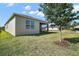 Backyard view featuring a well-maintained lawn, mature tree, and a screened-in lanai for outdoor enjoyment at 17386 Blazing Star Cir, Clermont, FL 34714
