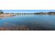 Scenic view of a lake with a wooden pier and lush vegetation in the community at 21815 Tartan St, Leesburg, FL 34748