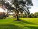 Scenic view of the community's lush golf course, offering a tranquil setting at 3785 Avon Ct, Clermont, FL 34711