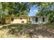 Spacious backyard featuring a well-maintained lawn, mature trees and a combination of yellow and white walls at 3972 Poinsettia Ave, Mount Dora, FL 32757