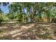 Large backyard with ample space featuring a grand tree providing shade, perfect for outdoor enjoyment at 3972 Poinsettia Ave, Mount Dora, FL 32757